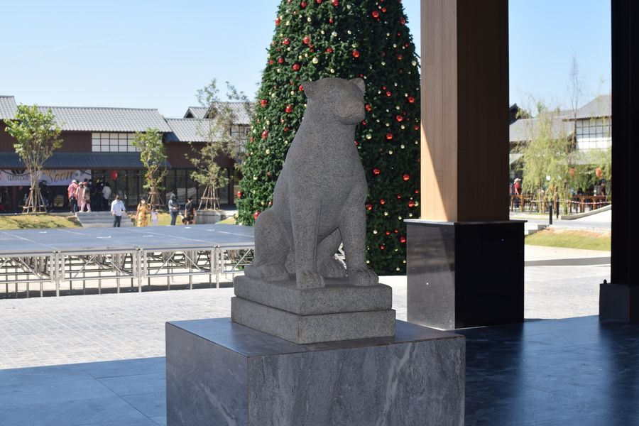 1641711402 dsc 0201