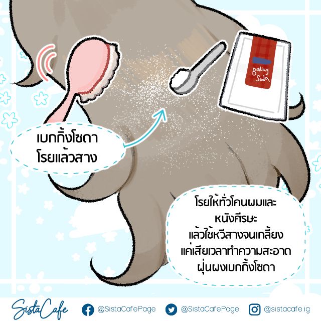 image_1073558
