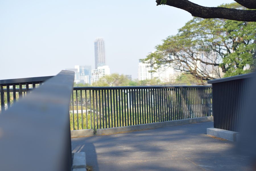 1645330879 dsc 0029