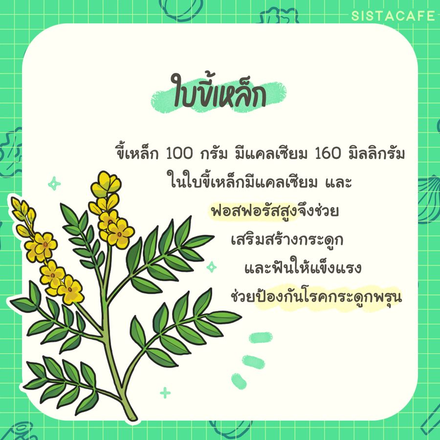 image_1075630