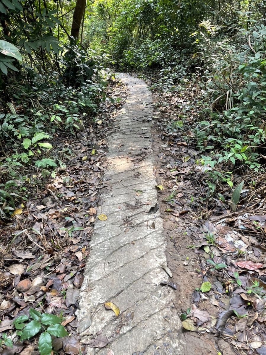 image_1076854