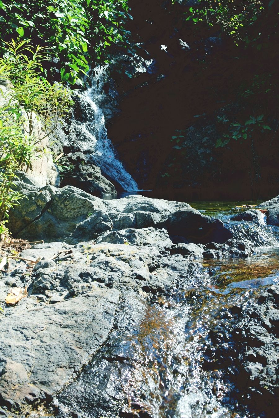 1648357210 dsc 0035