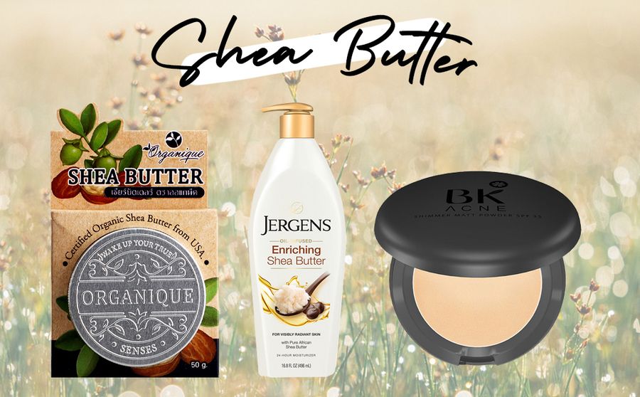 shea butter ส่วนผสมที่ดีต่อผิวแพ้ง่าย ช่วยบำรุงผิวแห้งให้นุ่มชุ่มชื้น