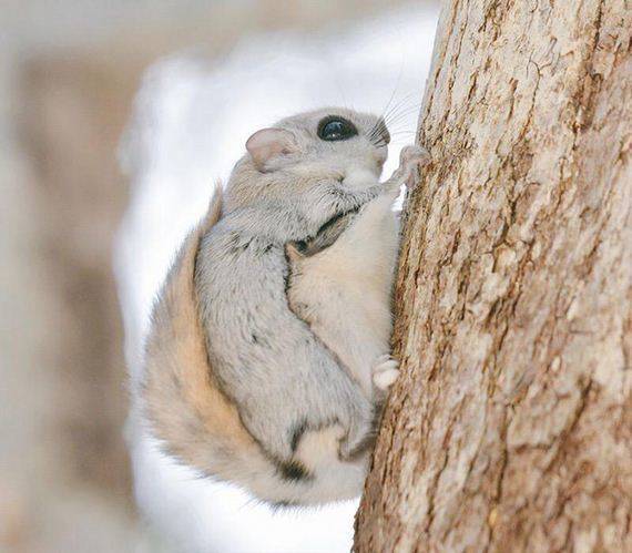 image_111898