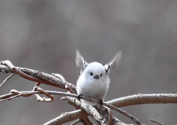 image_111904