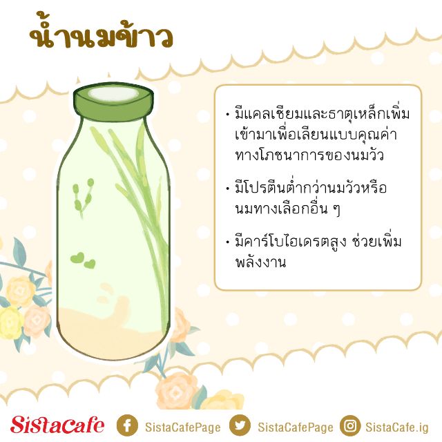 น้ำนมข้าว