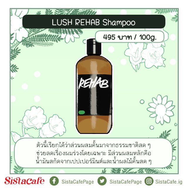 Lush rehab shampoo