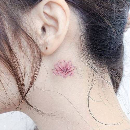 สักหลังใบหู