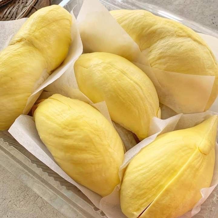 ทุเรียน