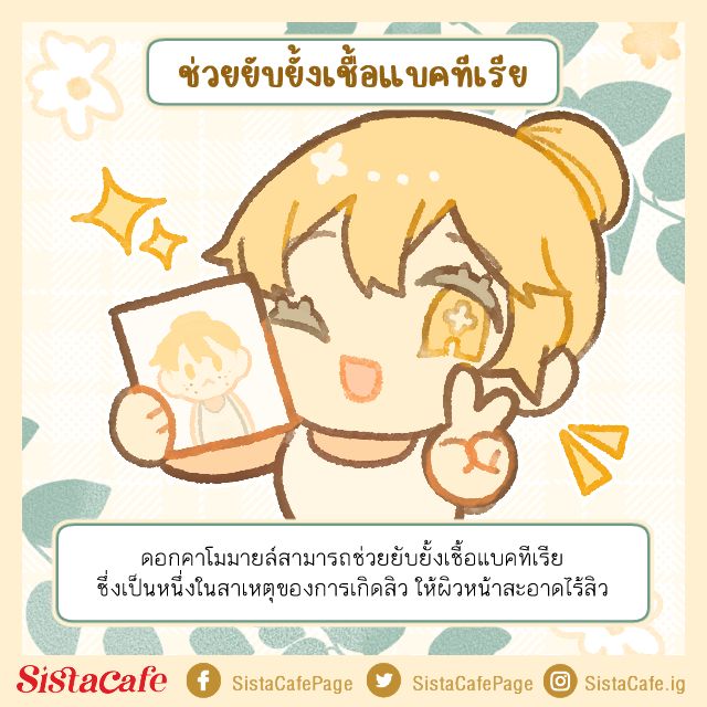 การช่วยยับบั้งแบคทีเรีย