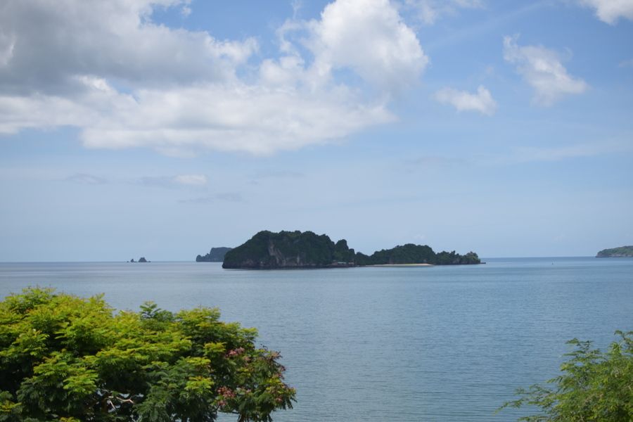 1689173085 dsc 0019