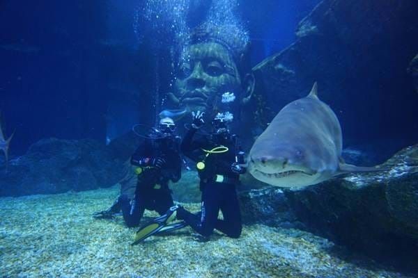 SEA LIFE Bangkok Ocean World
