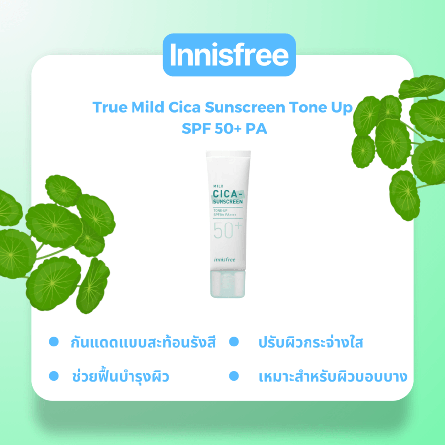Innisfree True Mild Cica Sunscreen Tone Up SPF 50+ PA