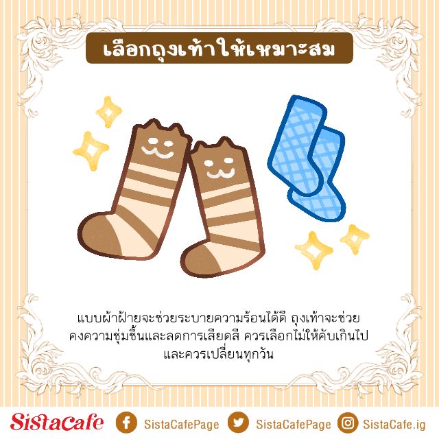 เลือกถุงเท้า