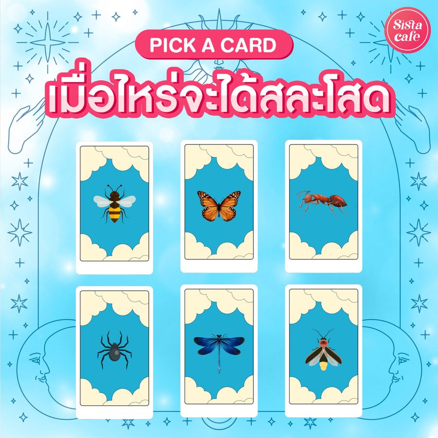 เมื่อไหร่จะได้สละโสดPick A Card