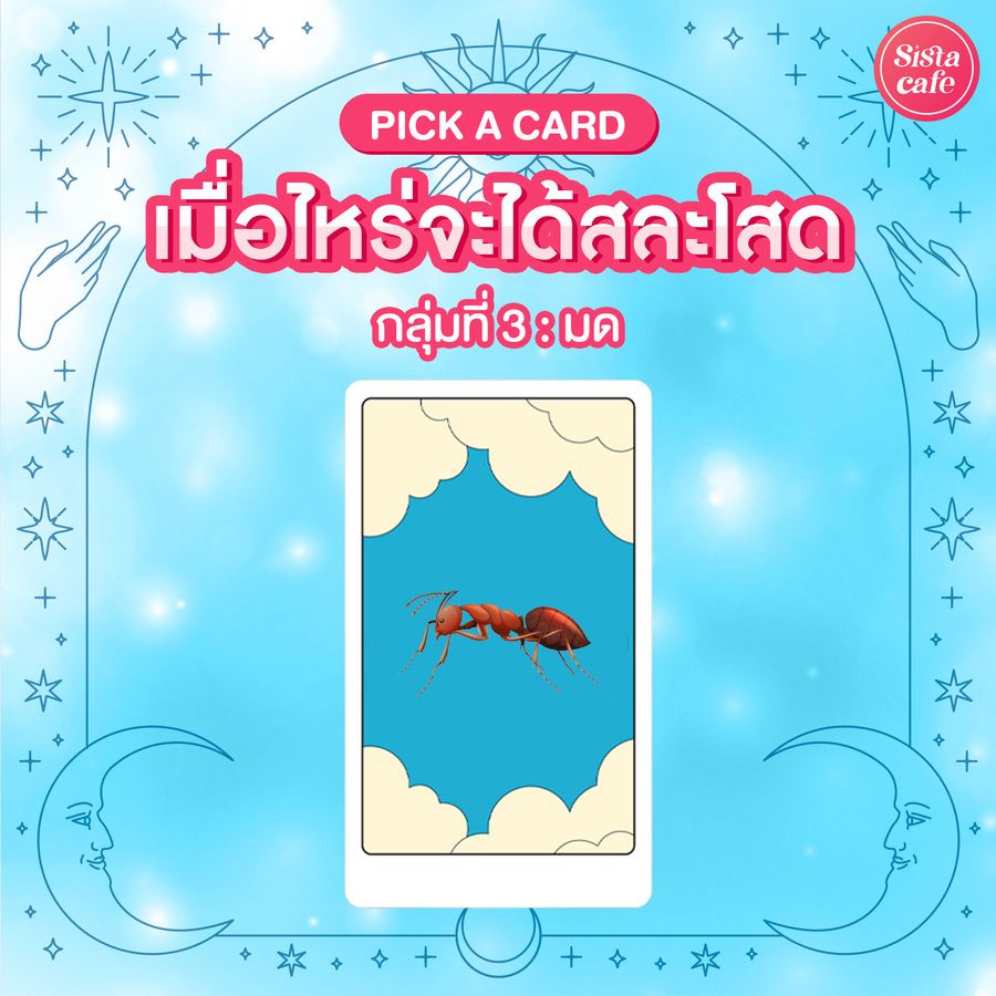 เราจะได้สละโสดเมื่อไหร่
