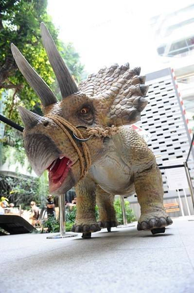 image_115800