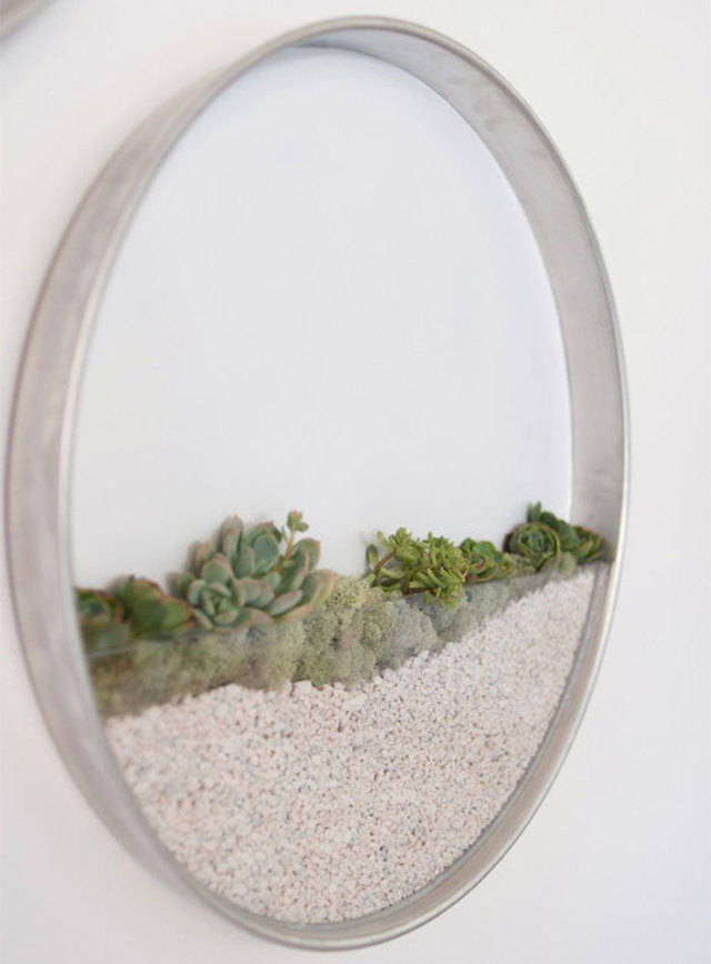 https://image.sistacafe.com/images/uploads/content_image/image/116638/1460346181-vertical-garden-air-plants-kim-fisher-1.jpg