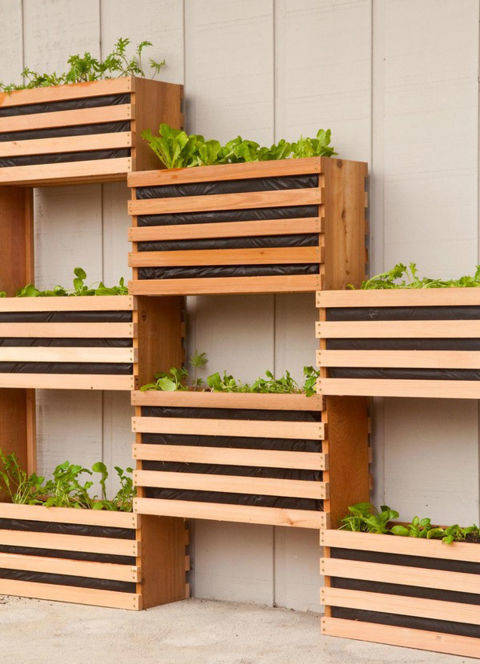 https://image.sistacafe.com/images/uploads/content_image/image/117411/1460690291-how-to-make-a-vertical-garden-feature-1_large.jpg
