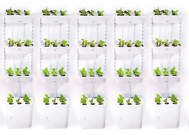 https://image.sistacafe.com/images/uploads/content_image/image/117416/1460440840-Eliooo-vertical-gardens-multiples.jpg