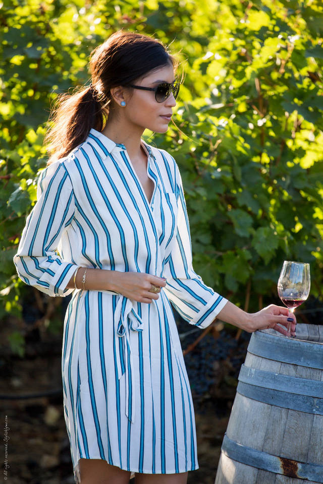 1460907981 blue and white striped shirtdress