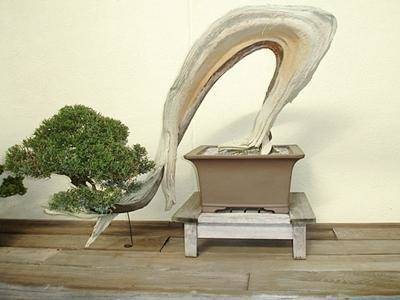 image_119774
