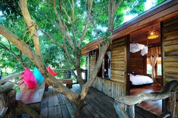 https://image.sistacafe.com/images/uploads/content_image/image/119814/1460948083-The-Richy-Field-Resort.4-600x400-qa98.jpg