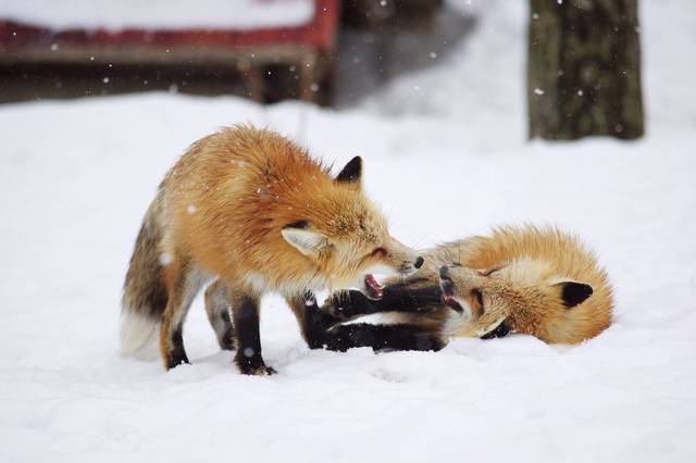 image_122126
