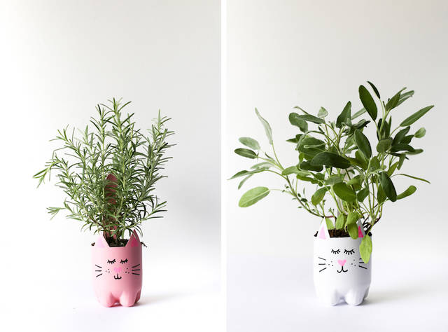 1464856833 diy kitty cat soda bottle planter salty canary 23 of 35 copy 2