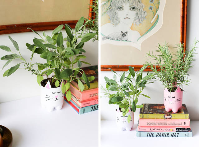 1464856929 diy kitty cat soda bottle planter salty canary 31 of 35 copy 2