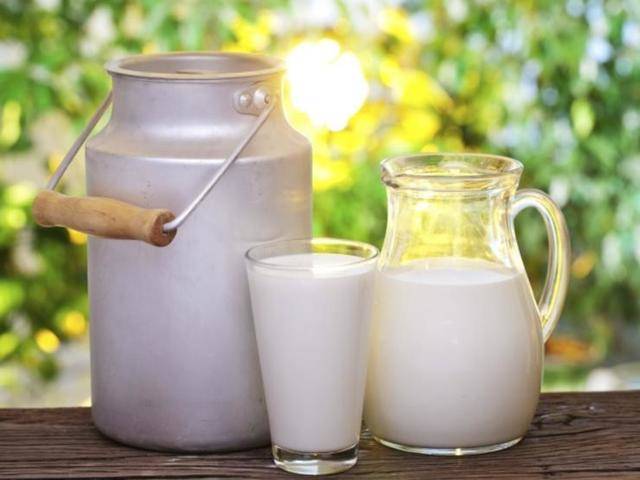 https://image.sistacafe.com/images/uploads/content_image/image/143387/1465445625-177824439-milk-containers600x450.jpg