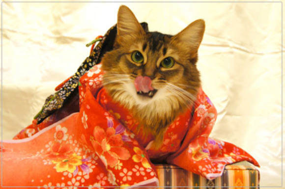 https://image.sistacafe.com/images/uploads/content_image/image/14352/1435728269-980x.jpg