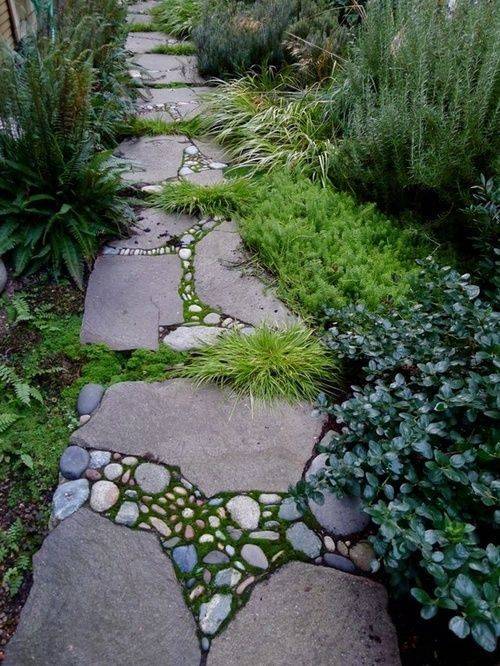 image_144779