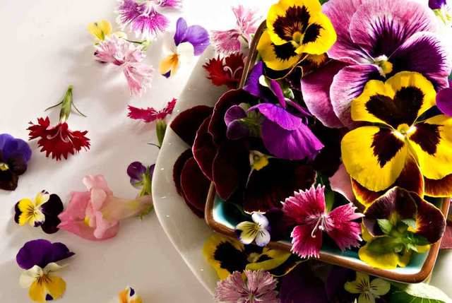 1435752392 mixed edible flowers chefs garden