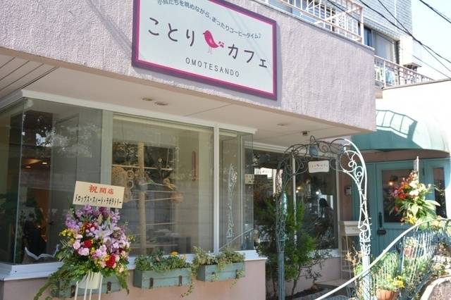 https://image.sistacafe.com/images/uploads/content_image/image/14637/1435809212-1423704572-th_DSC_0003.jpg
