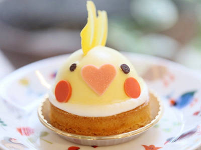 https://image.sistacafe.com/images/uploads/content_image/image/14666/1435811086-birdstory04.jpg