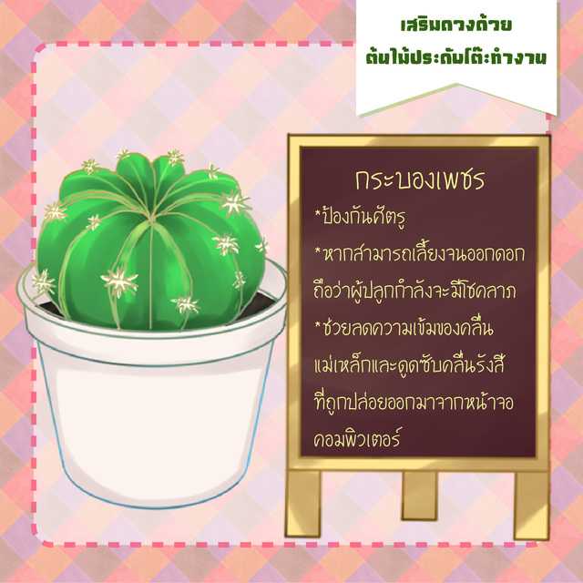 image_152069