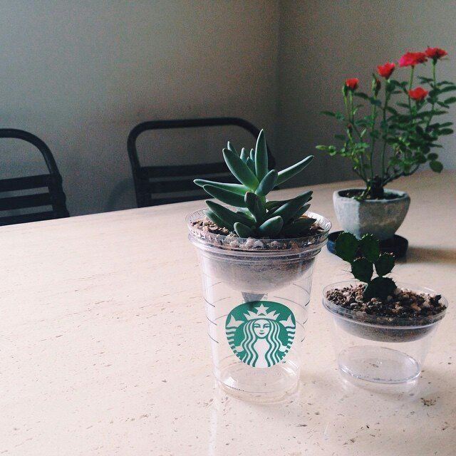 https://image.sistacafe.com/images/uploads/content_image/image/157275/1467714307-1466612451w53jxs.jpg