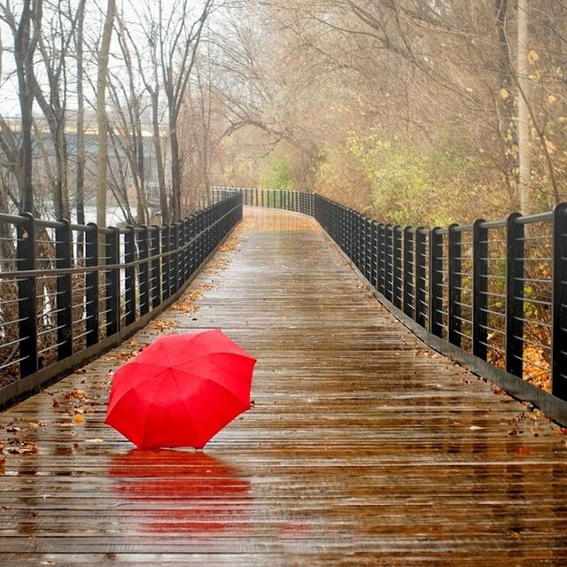 https://image.sistacafe.com/images/uploads/content_image/image/159636/1468250539-rainy_red_umbrella-2322.jpg