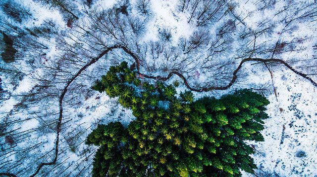 1468307610 best drone photography 2016 dronestagram contest 8 5783ac87ae38c  880