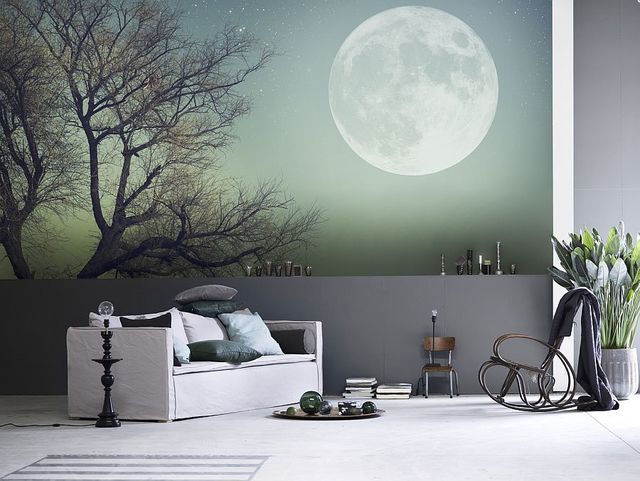 1468660765 30 of the most incredible wall murals designs you have ever seen 32