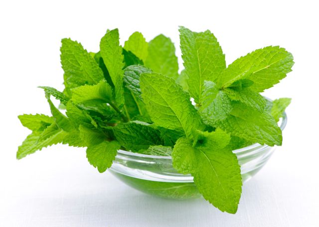 https://image.sistacafe.com/images/uploads/content_image/image/172058/1470119436-mint.jpg