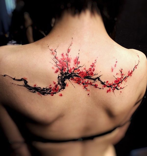 1470207554 cherry blossoms 11