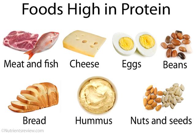 1470492370 high protein foods
