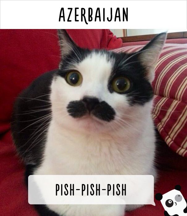 https://image.sistacafe.com/images/uploads/content_image/image/177010/1470548578-AZERBAIJAN-2-57a4a920632be__605.jpg