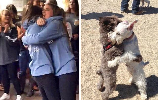 https://image.sistacafe.com/images/uploads/content_image/image/177033/1470549756-humans-look-like-dogs-doppelganger-you-are-dog-now-twitter-55-57a46b88cb6d4__700.jpg