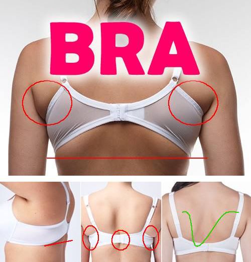 https://image.sistacafe.com/images/uploads/content_image/image/181404/1471103865-how-to-choose-the-right-bra.jpg