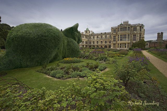 1471185546 ad topiary cats by richard saunders 005