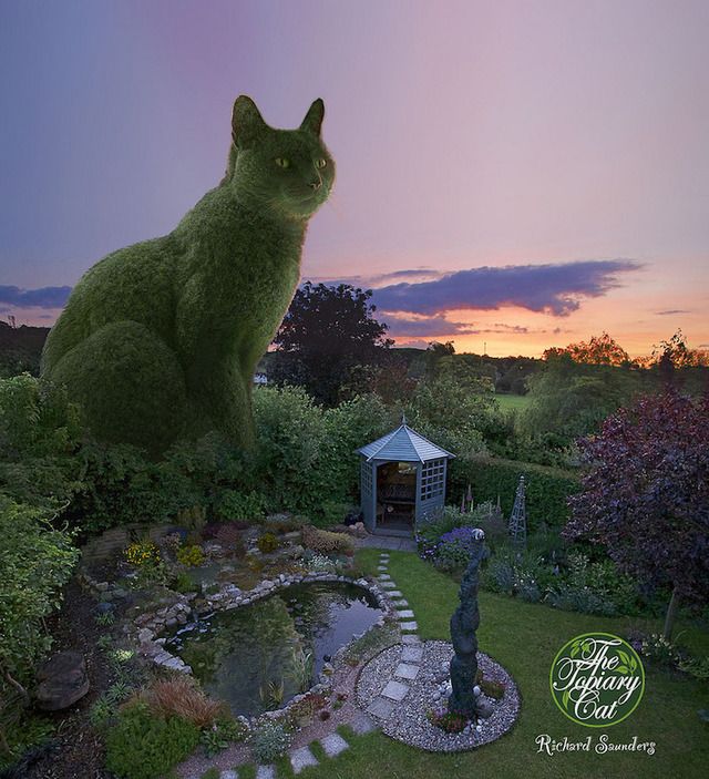 1471185554 ad topiary cats by richard saunders 007