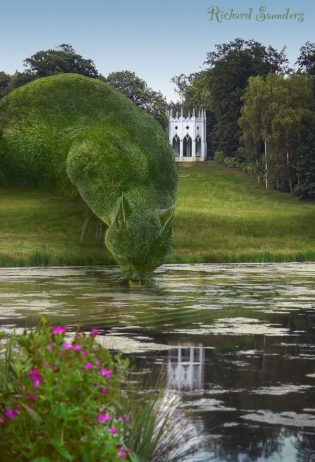 1471185597 ad topiary cats by richard saunders 002